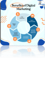 What are top 7 courses